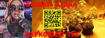 PSILOCYBIN Абакан